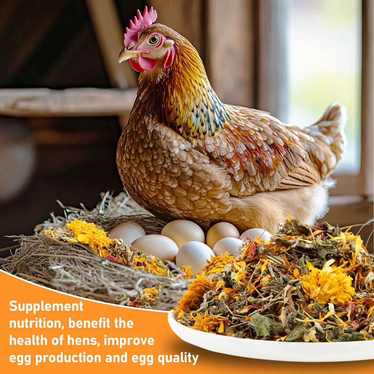 MaQIHAN nesting herbs in coop, ready to support daily routines.
