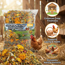 MaQIHAN herbs on coop mats, easing feeding and nutrient intake.