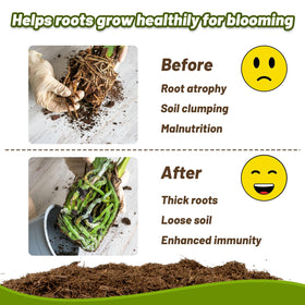Garden mulch image demonstrates soil moisture retention for potted plants.