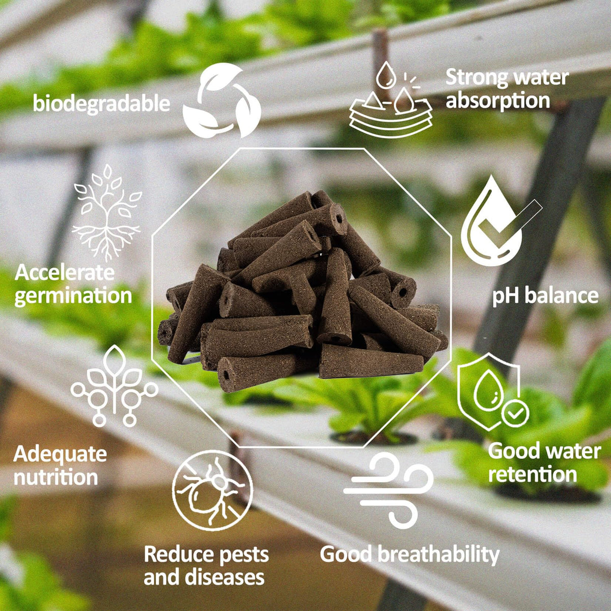MAQIHAN peat-based sponge with stable pH aids seed growth.