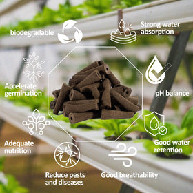 MAQIHAN peat-based sponge with stable pH aids seed growth.