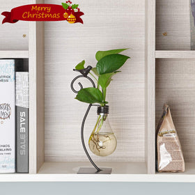 Marbrasse bulb vase holder stand keeps bulbs secure while brightening shelves.