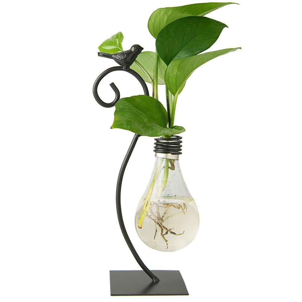 Marbrasse desktop glass planter with bird stand for stylish home decor and plant display.
