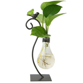 Marbrasse desktop glass planter with bird stand for stylish home decor and plant display.