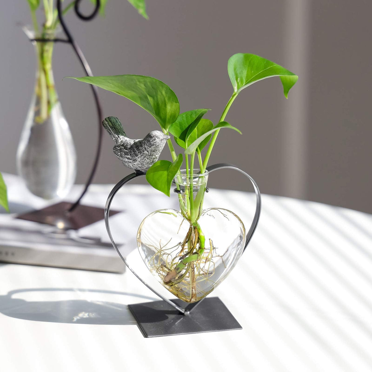Marbrasse compact plant fit for mint or pothos in elegant arrangement.