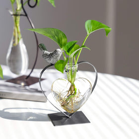 Marbrasse compact plant fit for mint or pothos in elegant arrangement.