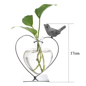 Marbrasse glass vase water-friendly design supports plant care.