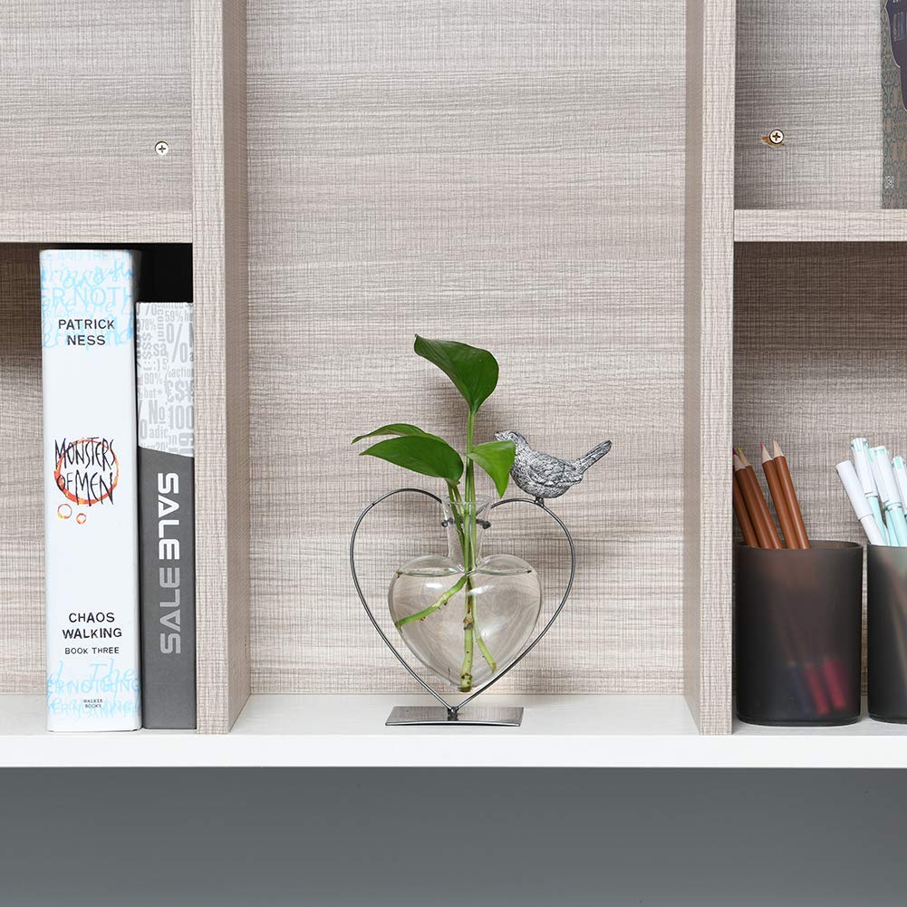 Marbrasse terrarium vibe for home or workspace with contemporary style.