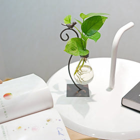 Marbrasse gift-ready vase for home, office, weddings and parties.