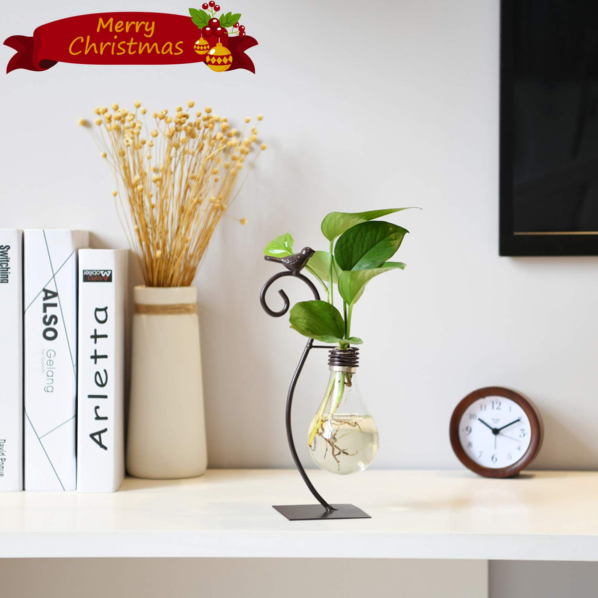 Marbrasse hydroponics vase showcases clear glass ideal for water-based plant displays.