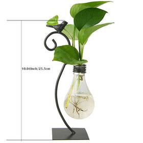 Marbrasse Scindapsus container display suits small plants in a contemporary setting.