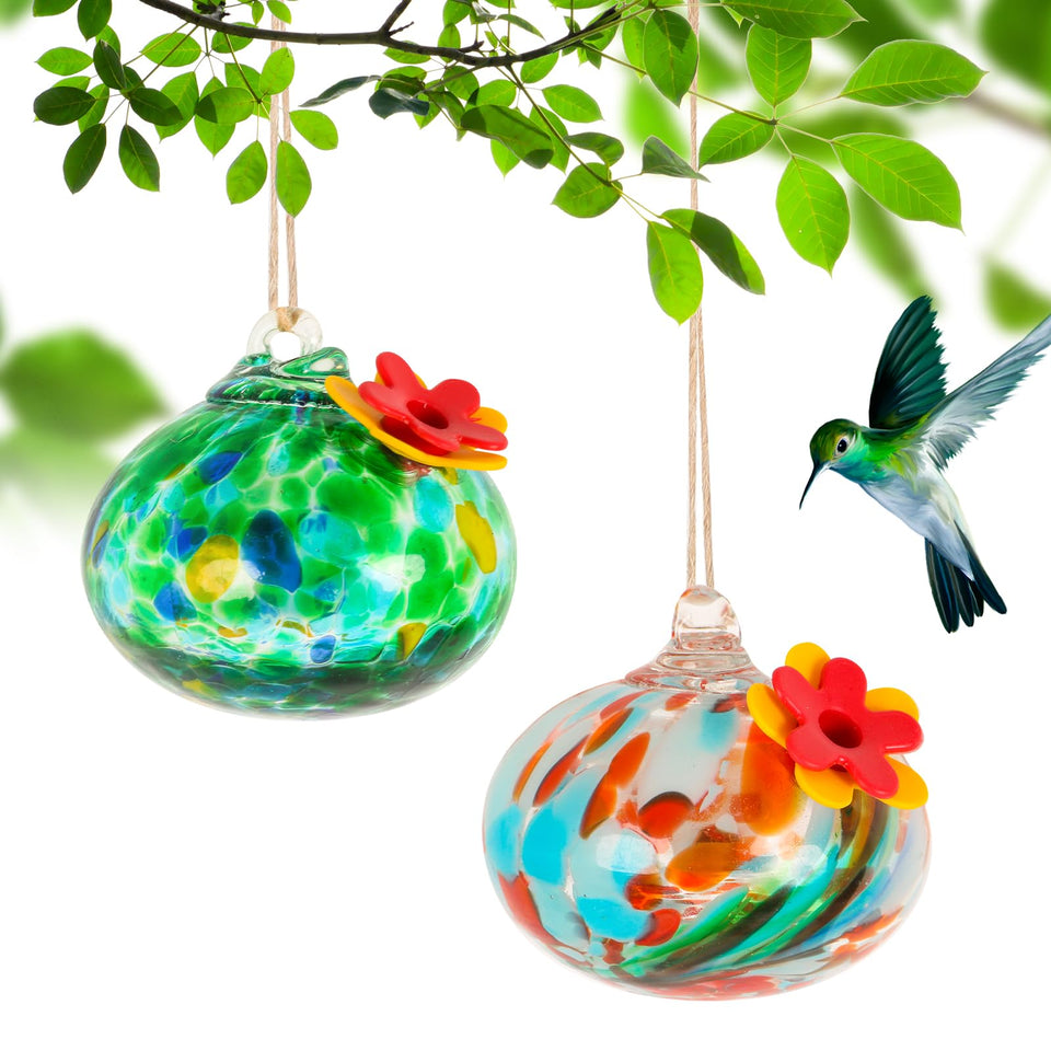 MARCHROSE two-piece glass hummingbird feeder bundle for close-up window viewing in bright gardens