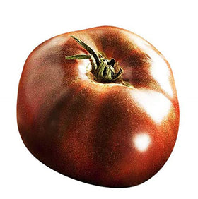 Marde Ross & Company Black Brandywine seeds close-up shows quality for careful germination