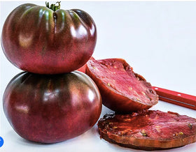 Marde Ross & Company Black Brandywine seeds pack ideal for starting a home garden