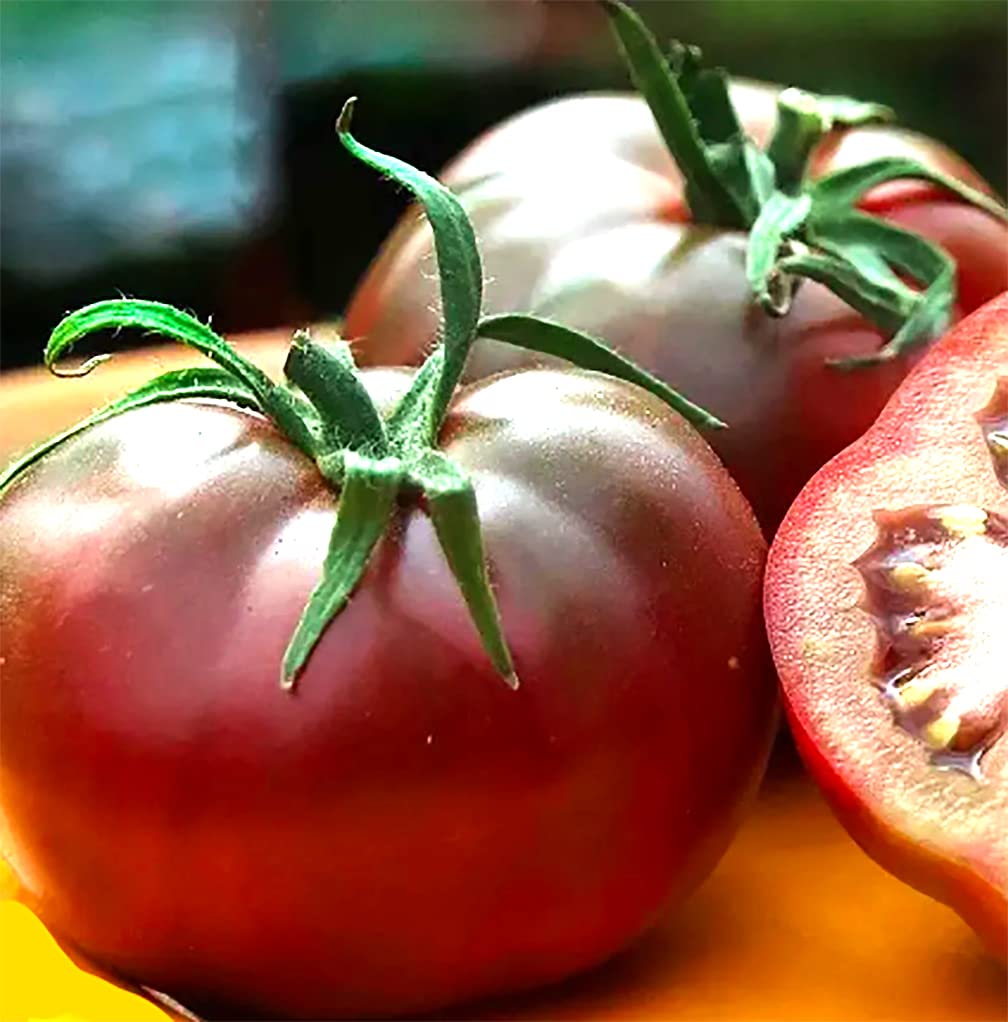 Marde Ross & Company Black Brandywine tomato fruit ready to ripen on the vine