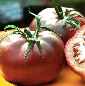 Marde Ross & Company Black Brandywine tomato fruit ready to ripen on the vine