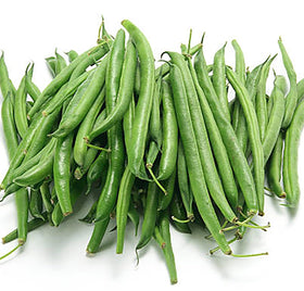Marde Ross & Company Burpee Stringless Green Beans harvest-ready pods for meals