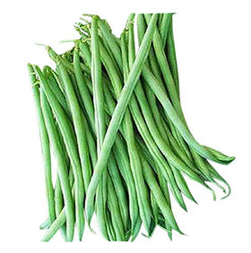 Marde Ross & Company Burpee Stringless Green Beans seed pack for easy home canning prep