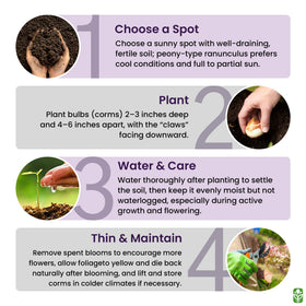 Marde Ross & Company fall or spring planting options for continuous color.