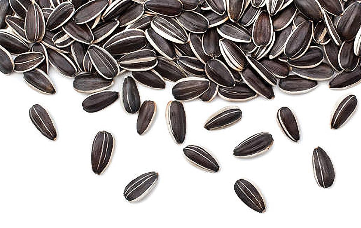 Seed pack for Mammoth Grey Striped sunflowers, non-GMO and neonicotinoid-free