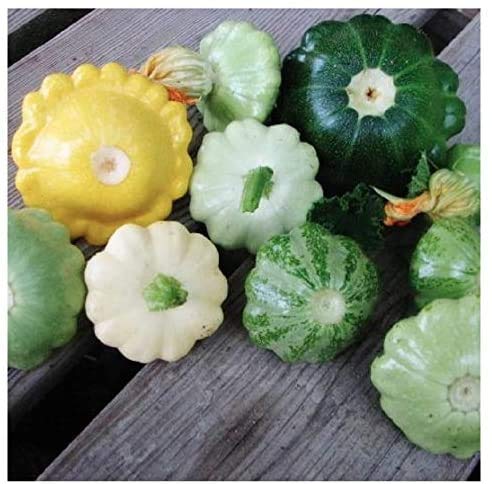 Marde Ross & Company heirloom scallop blend seeds packet for a colorful summer harvest.