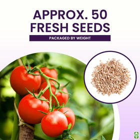 Marde Ross Bonny Best seeds for indoor or outdoor growing