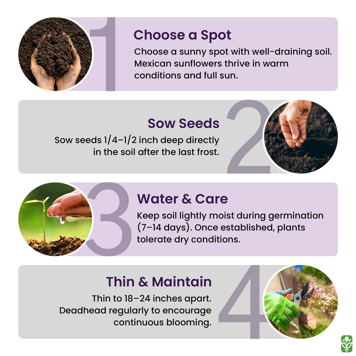 Marde Ross Non-GMO, neonicotinoid-free seeds offer safer garden choices.