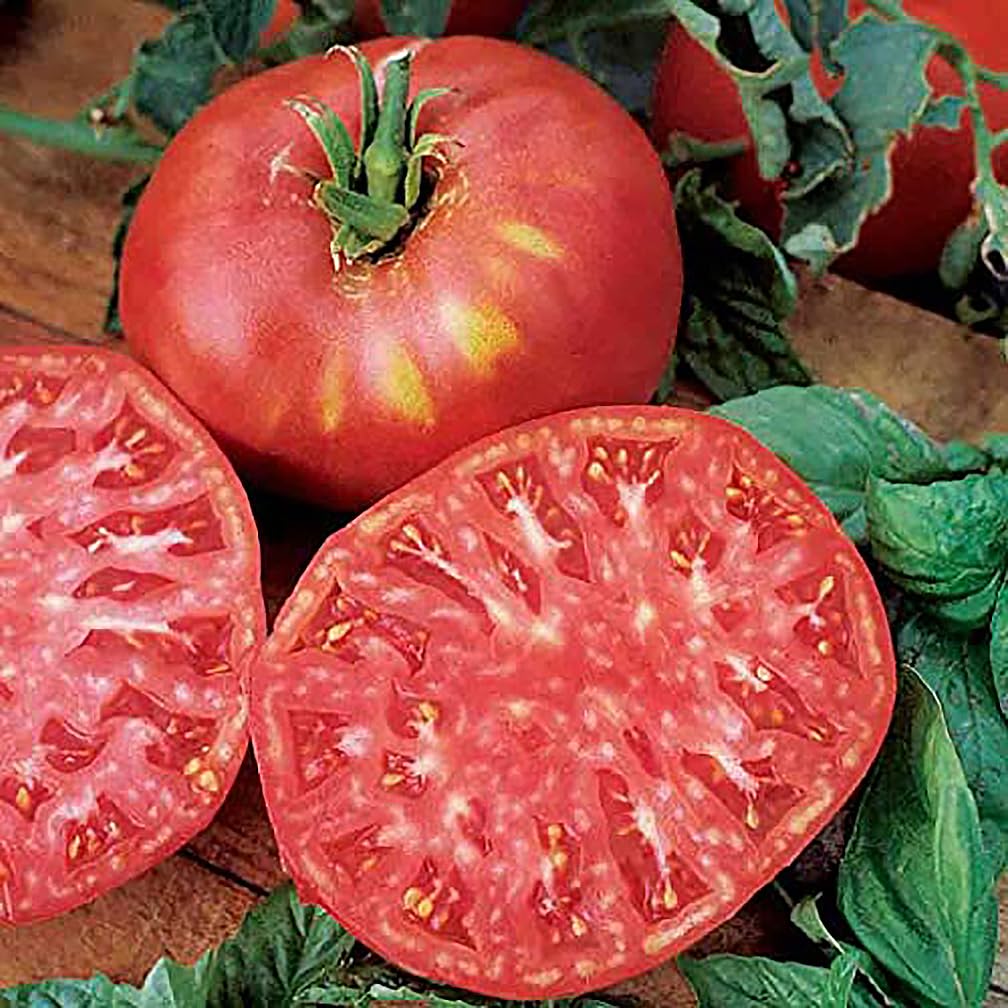 Marde Ross Pink Brandywine tomato seeds for home planting with large, juicy fruits.