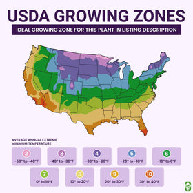 Non-GMO and neonicotinoid-free seed pack supports responsible gardening.