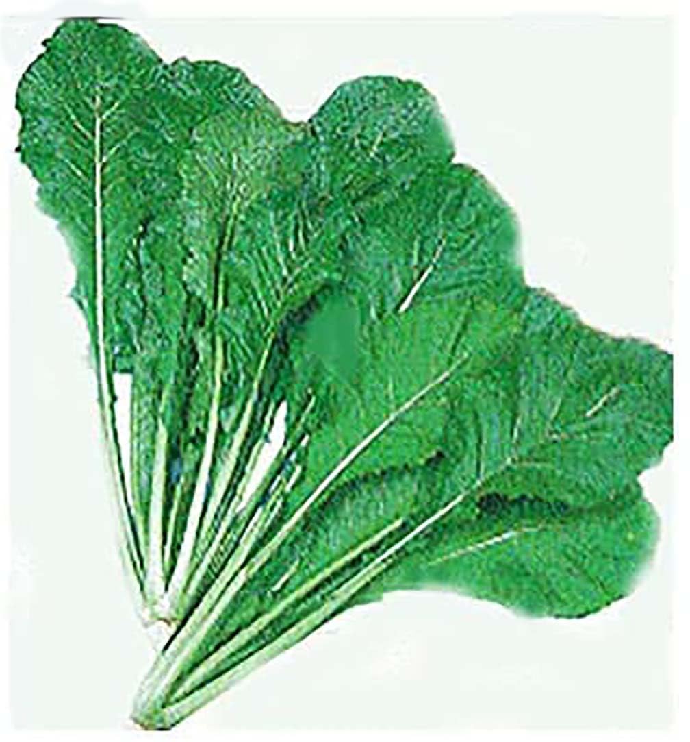 Marde Ross Seven Top Turnip Greens Leaves Closeup, vibrant greens perfect for steaming or salads.