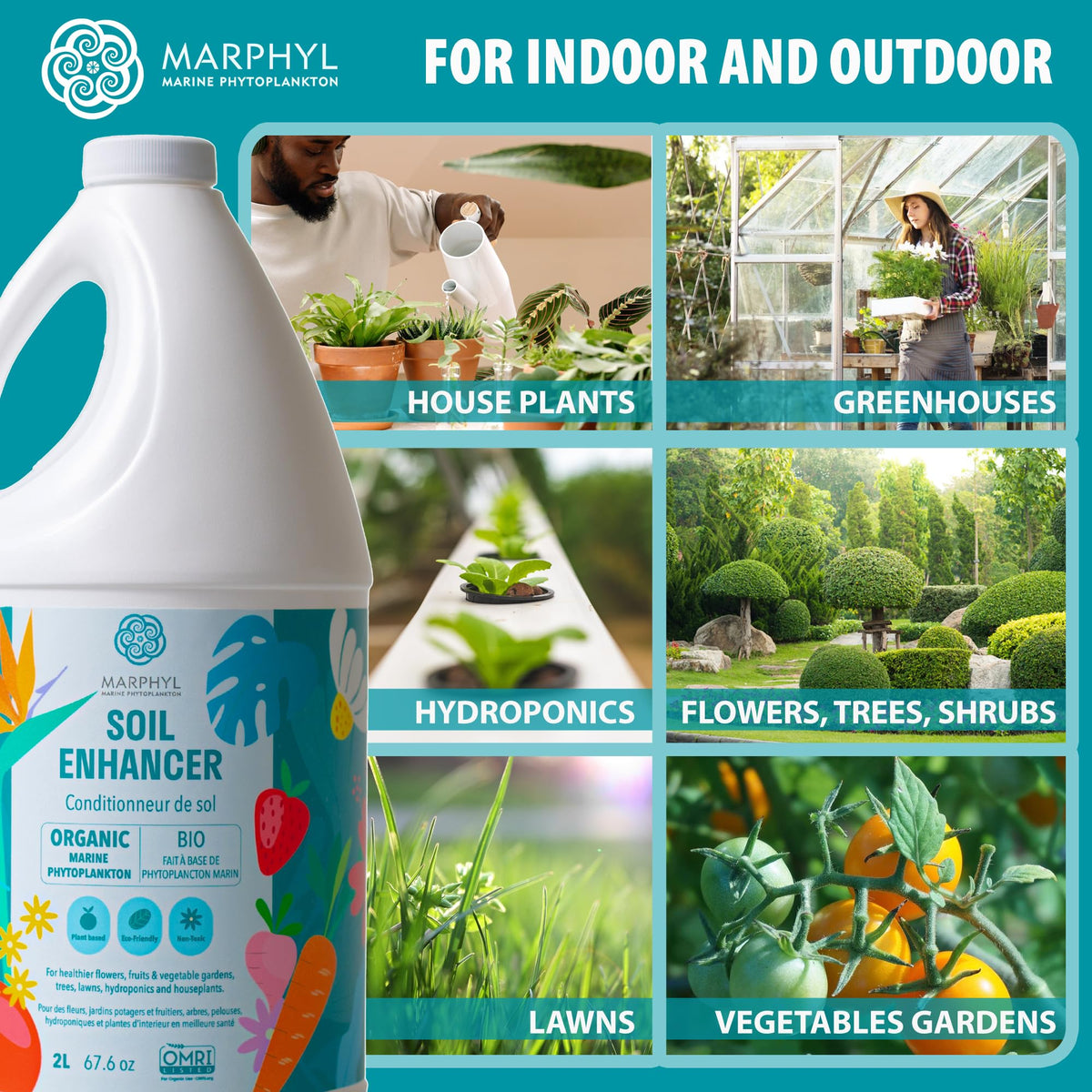 MARPHYL in container application demonstrates versatile feeding in pots and planters.