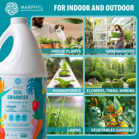MARPHYL in container application demonstrates versatile feeding in pots and planters.