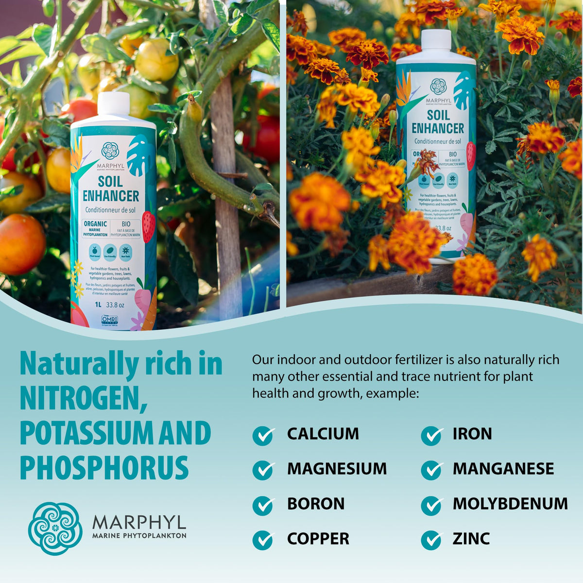 MARPHYL feeds flowering plants to support vibrant blooms and resilient roots.