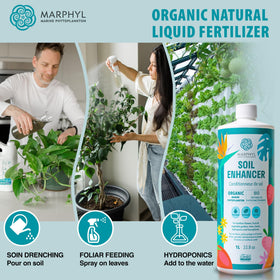 MARPHYL used indoors on windowsill plants for steady health