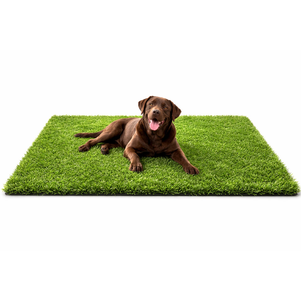 MASSTEELGER dog grass rug hero shot, durable, lifelike turf for daily pet use.