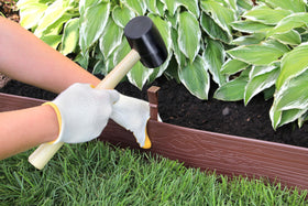 Tree ring edging using Master Mark border in brown for defined circles