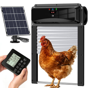 MasterFUN automatic chicken door with remote display for real-time status from indoors