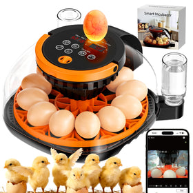 MASTERFUN WiFi Egg Incubator front view, compact design for easy home use and remote monitoring.