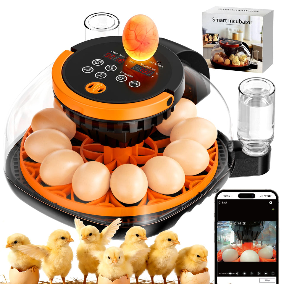 MASTERFUN WiFi Egg Incubator front view, compact design for easy home use and remote monitoring.