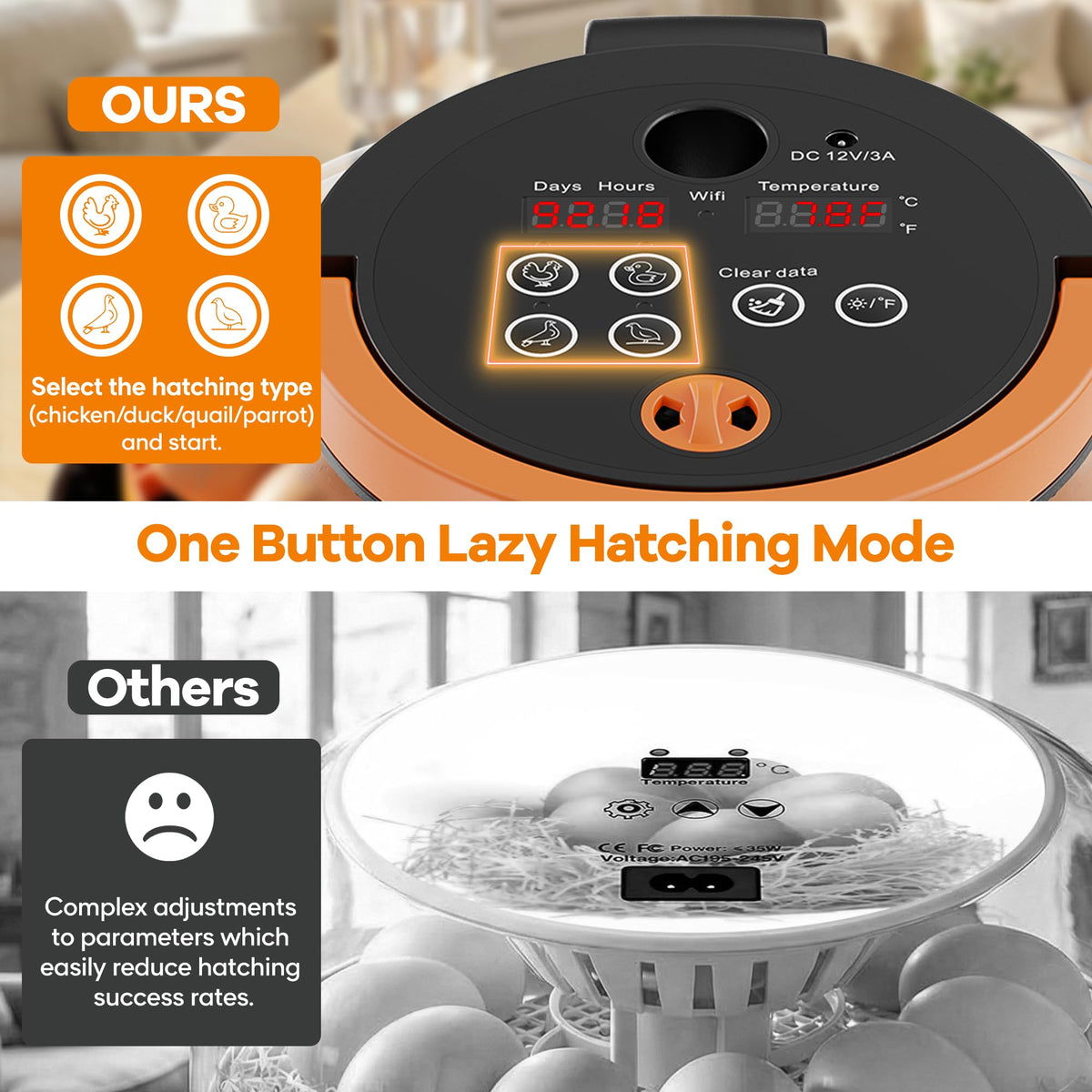 MASTERFUN supports chicken, quail, and pigeon eggs for home hatch projects.
