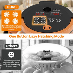 MASTERFUN supports chicken, quail, and pigeon eggs for home hatch projects.