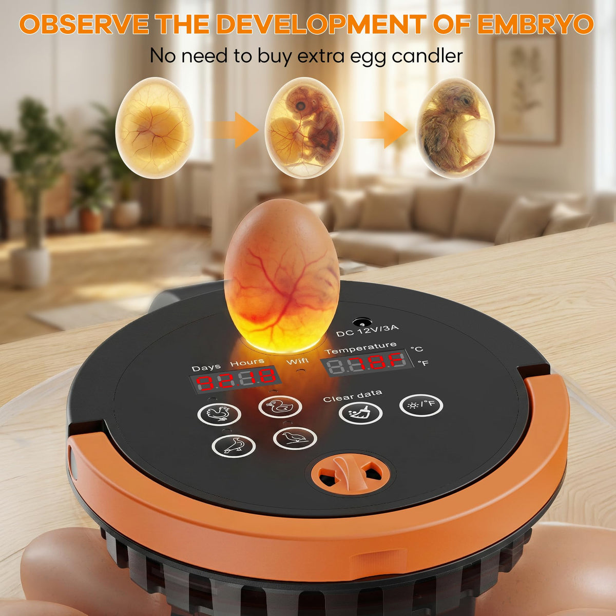 Includes incubator, power adapter, water base, spray bottle, and roller tray for setup.