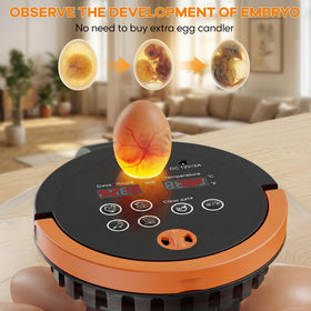 Includes incubator, power adapter, water base, spray bottle, and roller tray for setup.