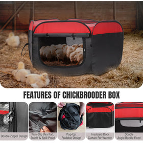 Matalde Brooder Box perch gives safe roosting space for chicks