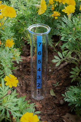 Mateda rain gauge with blue readability strip for easy measurement and quick readings.