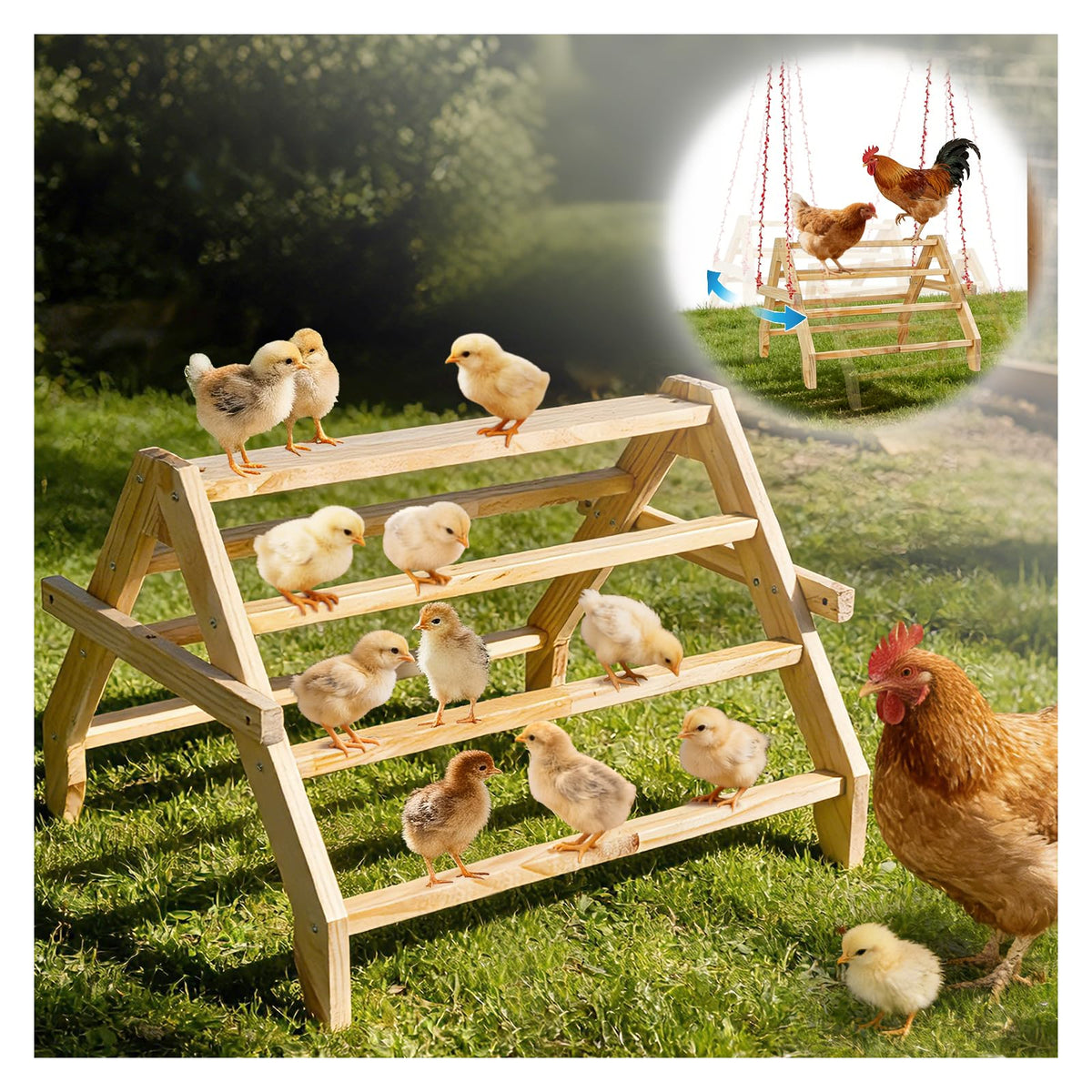 Matutinus 17-inch chicken perch side view provides comfortable roosting for growing flocks.