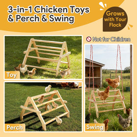 Matutinus chicken roost swing setup demonstrates versatile play and rest options.