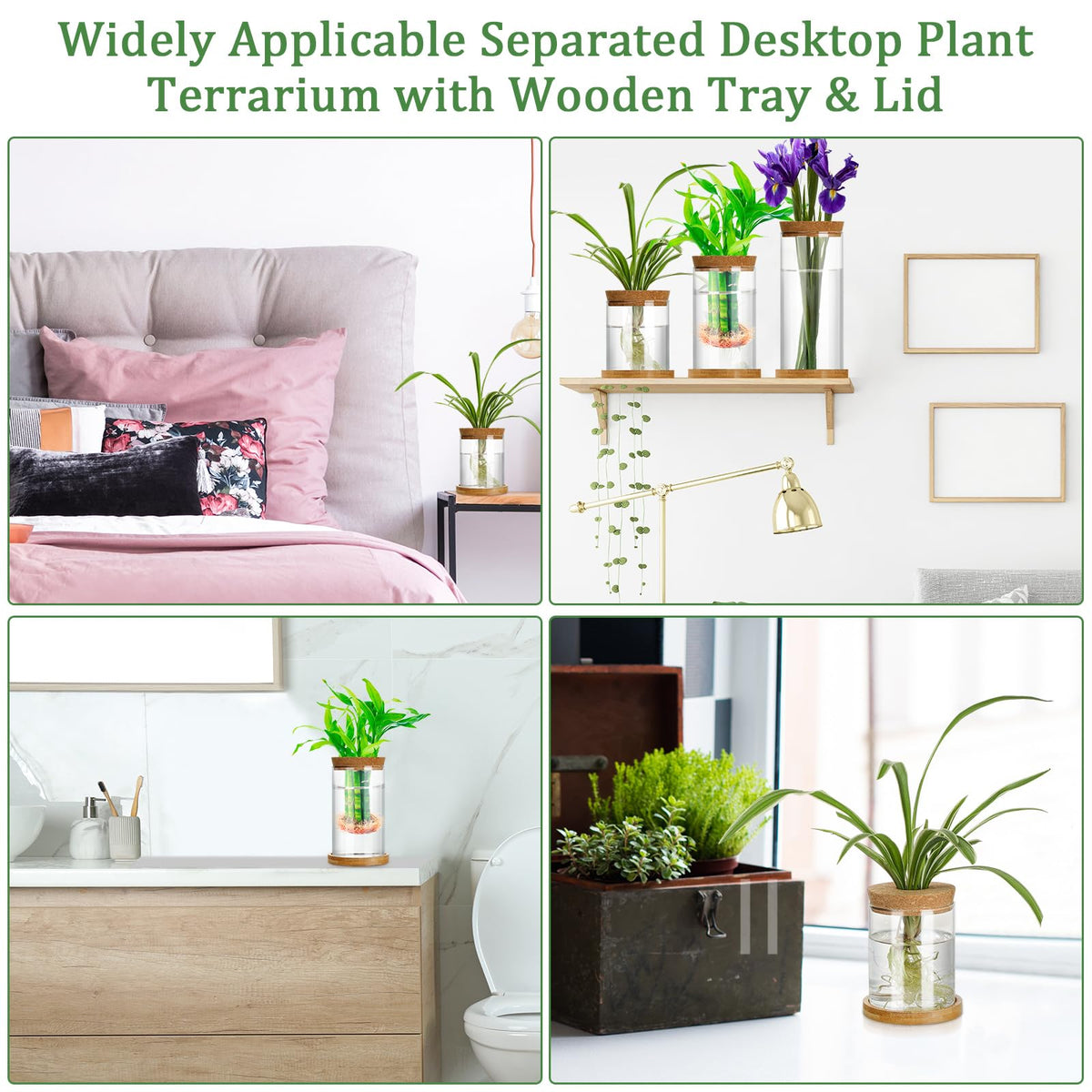 Maxcheck three-size propagation set ideal for home or office greenery.
