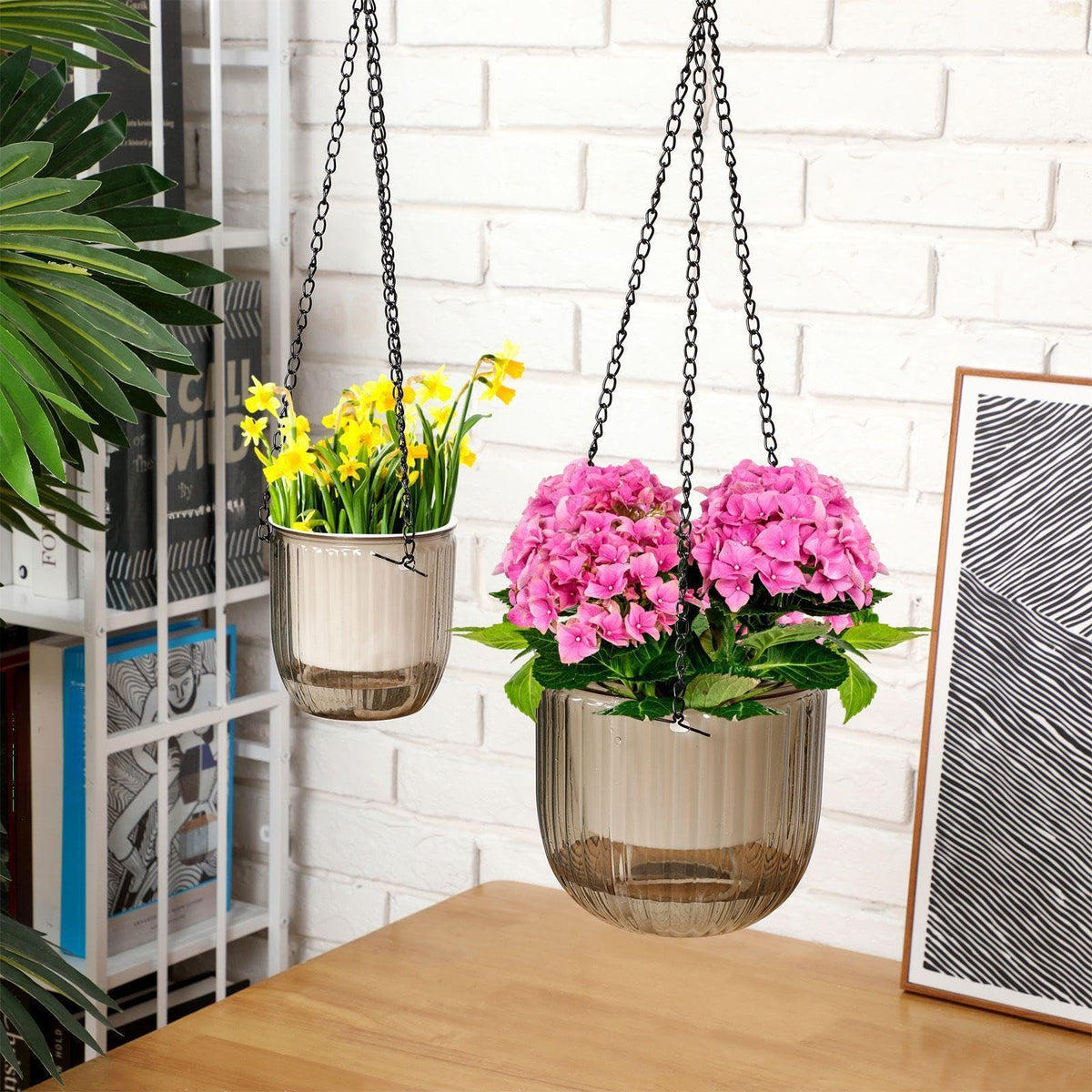 Maxcheck planter materials PET and metal for long lasting use
