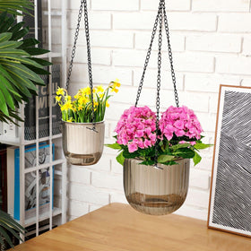 Maxcheck planter materials PET and metal for long lasting use